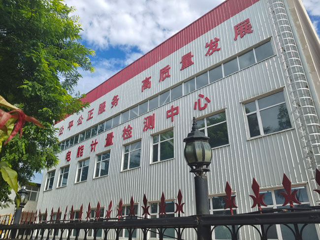 中心环境